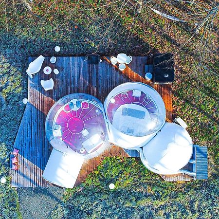 L Ost In Sensations -Hebergements Insolites Et Suites De Luxe Spa Sauna Piscine Foret Marcenais Exteriör bild